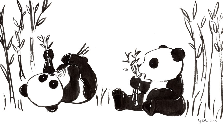 Panda brothers